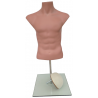 Military Male Half-Body Torso Headless TORHL