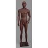 Military Male African American Mannequin MDP TE 36