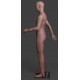 Military Male Caucasian Mannequin MDP TE41 ©