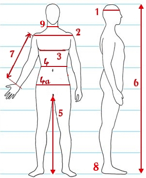 Mannequin sizes