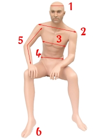 Mannequin sizes