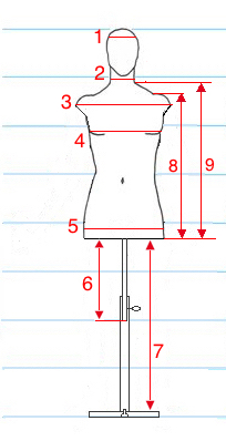 Mannequin sizes